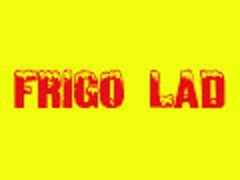 Frigo lad – servis bele tehnike i klima uređaja