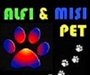 Pet shop-Alfi & Misi