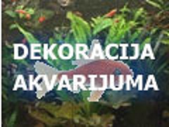 Izrada i dekoracija akvarijuma