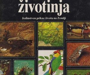 Veliki atlas zivotinja 