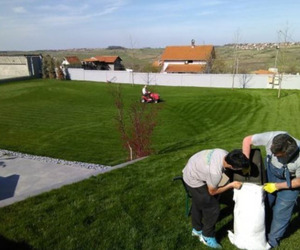 Održavanje dvorišta - košenje trave 