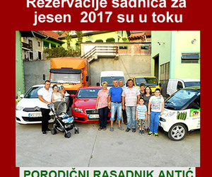 Letnja predprodaja voćnih sadnica 2017