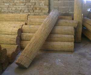 Pletena trska pogodna za ogradjivanje, suncobrane i lake krovove