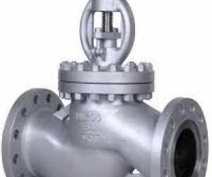 Globe valves in kolkata