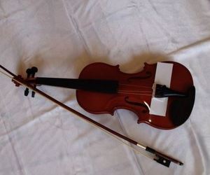 Violina 4/4